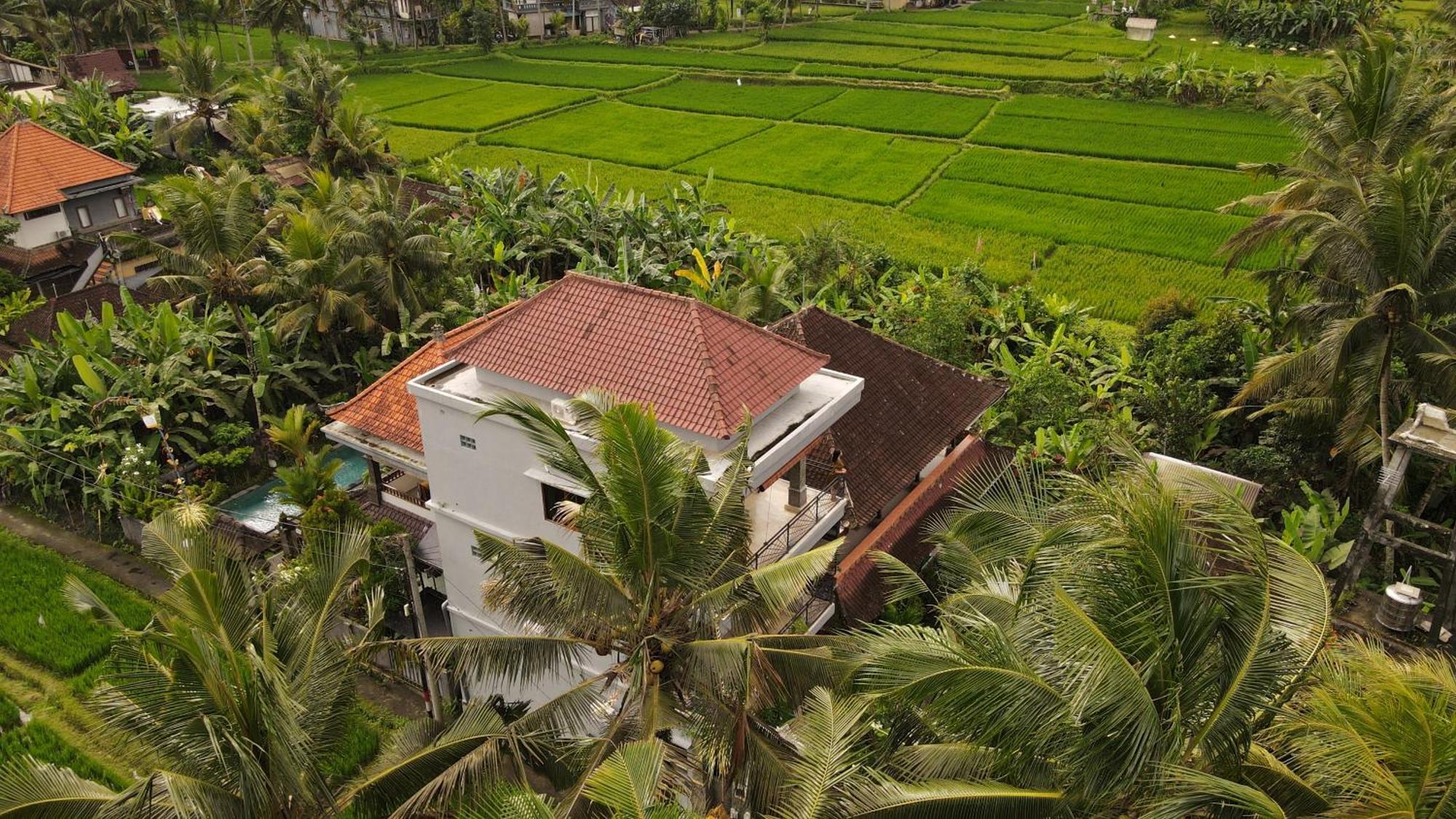 Nirwa 1 Ubud Guesthouse المظهر الخارجي الصورة